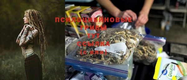 mdpv Тавда