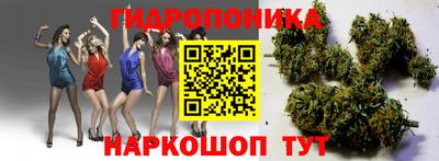 молекула духа Берёзовский