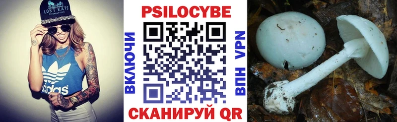 купить наркотики сайты Гатчина Галлюциногенные грибы прущие грибы