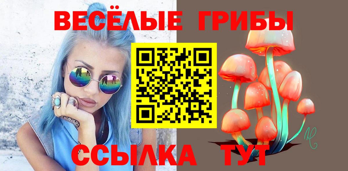 ГАШИШ Гатчина