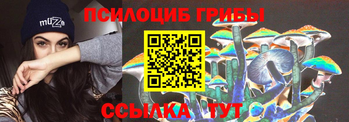 Псилоцибиновые грибы ЛСД  Галлюциногенные грибы Magic Shrooms  купить закладку  Гатчина 