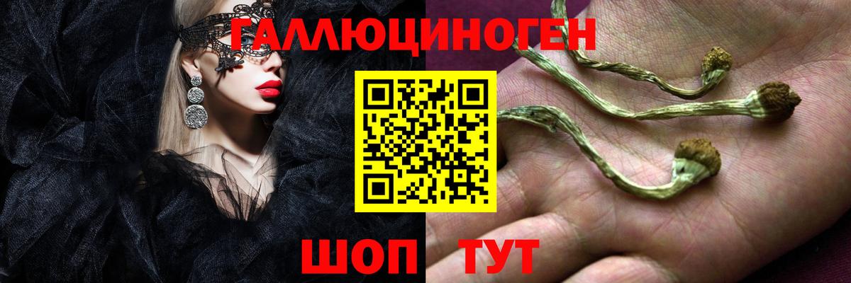 Галлюциногенные грибы мицелий Гатчина